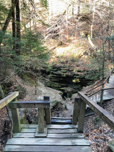 stairs in woods