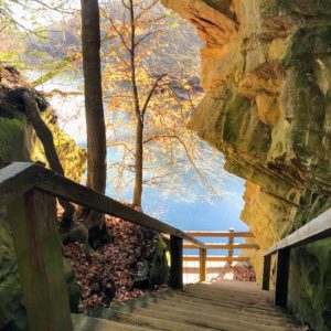 steps at turkey run