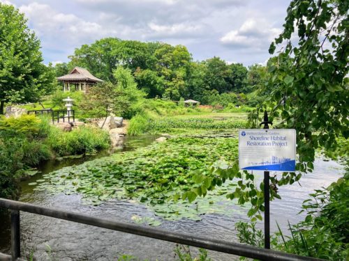 sign by pond