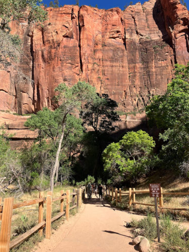 zion national park