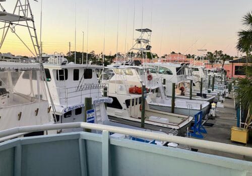 boats in the marina