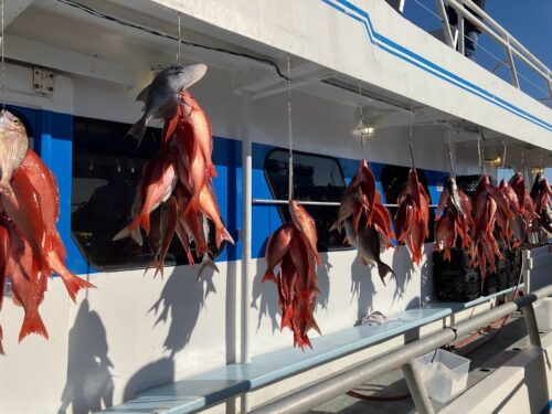 fish hanging on boat