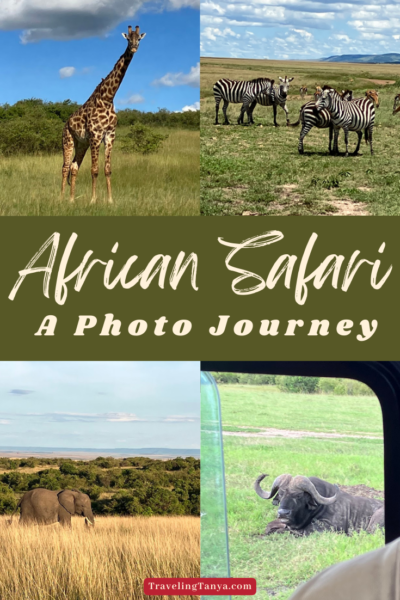 Go on an African Safari with Traveling Tanya on this photo journey of wildlife in the Maasai Mara National Reserve in Kenya.