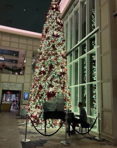 christmas tree at dreamore resort