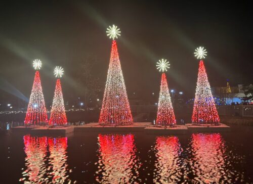 lit trees on water