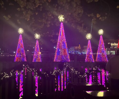 lit trees on water